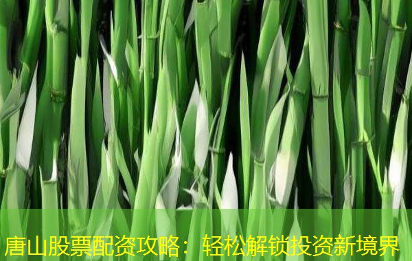 唐山股票配资攻略：轻松解锁投资新境界