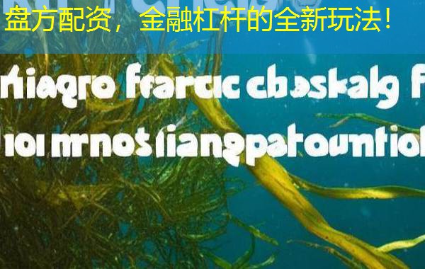 盘方配资,金融杠杆的全新玩法! 盘方配资,金融杠杆的全新玩法!