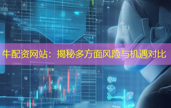 牛配资网站：揭秘多方面风险与机遇对比
