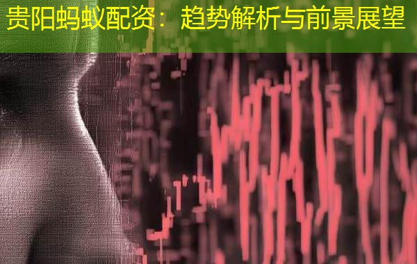 贵阳蚂蚁配资:趋势解析与前景展望 贵阳蚂蚁配资:趋势解析与前景展望