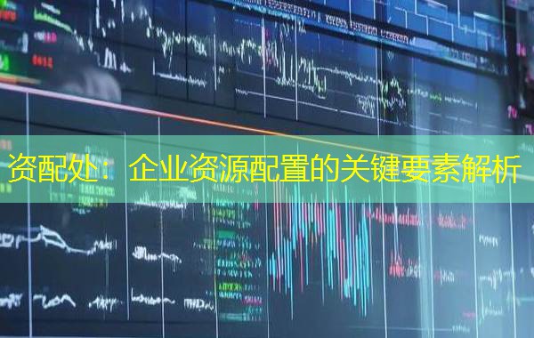 资配处:企业资源配置的关键要素解析 资配处:企业资源配置的关键要素解析