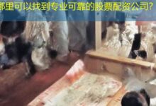 哪里可以找到专业可靠的股票配资公司？-配资炒股网
