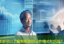 哪里可以了解熊配资的运作模式和风险?-配资炒股网