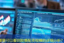 哪里可以看到股票配资规模的详细分析?-配资炒股网