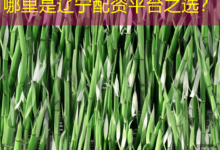 哪里是辽宁配资平台之选?-配资炒股网