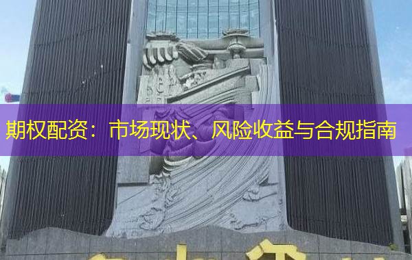 期权配资：市场现状、风险收益与合规指南