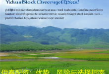 伊春配资:优势、风险与选择指南-配资炒股网