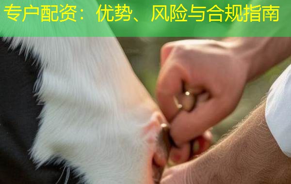 专户配资：优势、风险与合规指南