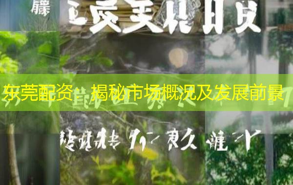 东莞配资：揭秘市场概况及发展前景