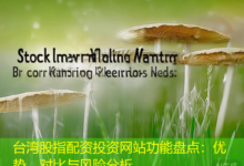 台湾股指配资投资网站功能盘点：优势、对比与风险分析-配资炒股网