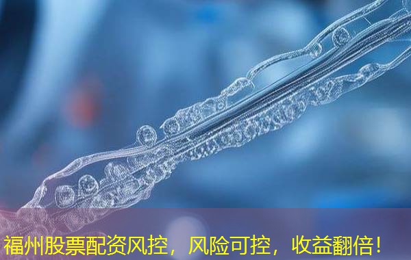 福州股票配资风控,风险可控,收益翻倍! 福州股票配资风控,风险可控,收益翻倍!