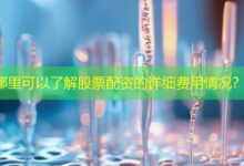 哪里可以了解股票配资的详细费用情况？-配资炒股网