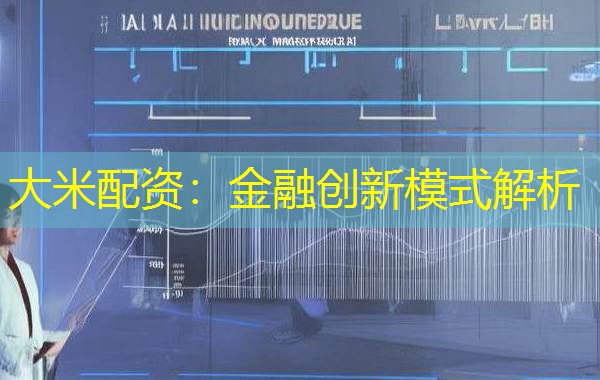 大米配资:金融创新模式解析 大米配资:金融创新模式解析