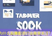 为什么股票配资行业备受关注?-配资炒股网