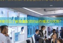 哪里可以了解易富配资的运作模式与优势?-配资炒股网