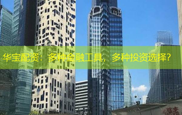 华宝配资:多种金融工具,多种投资选择? 华宝配资:多种金融工具,多种投资选择?