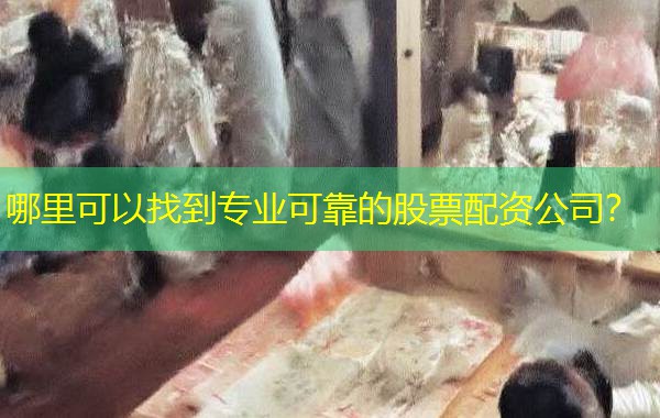 哪里可以找到专业可靠的股票配资公司？