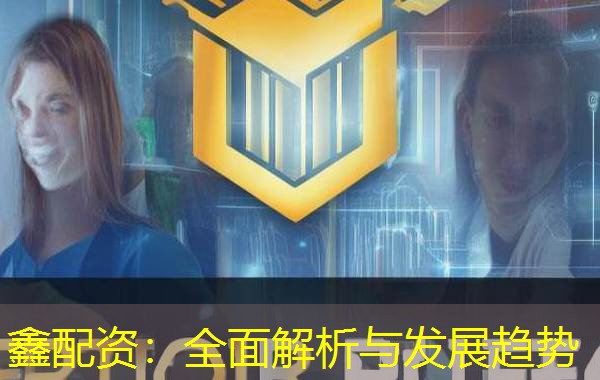 鑫配资：全面解析与发展趋势