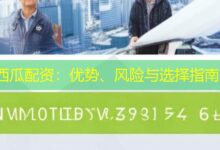 西瓜配资：优势、风险与选择指南-配资炒股网