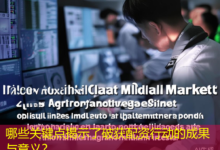 哪些关键点揭示了破获配资行动的成果与意义？-配资炒股网
