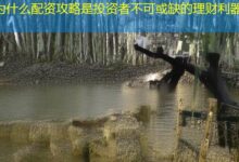 为什么配资攻略是投资者不可或缺的理财利器-配资炒股网