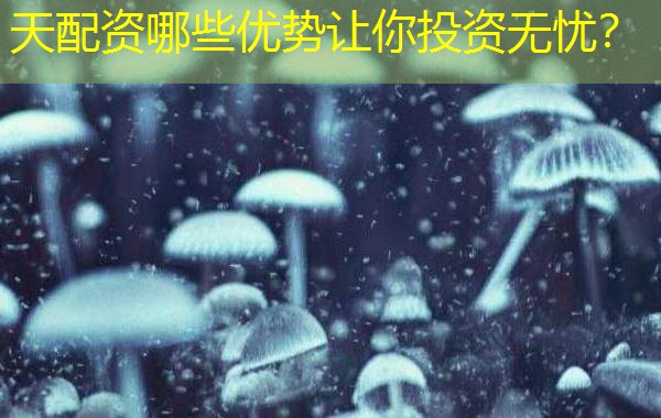 天配资哪些优势让你投资无忧？