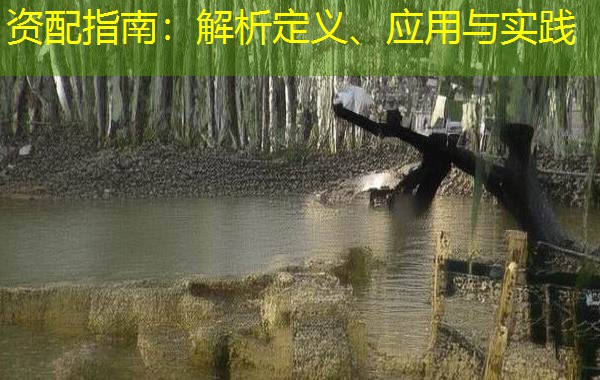资配指南：解析定义、应用与实践