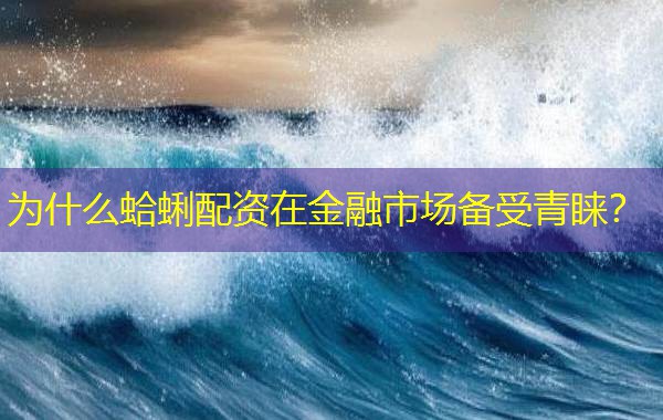为什么蛤蜊配资在金融市场备受青睐？