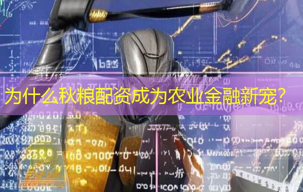为什么秋粮配资成为农业金融新宠？