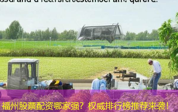福州股票配资哪家强？权威排行榜推荐来袭！
