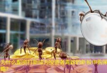 为什么配资打新成为投资者青睐的新股申购策略?-配资炒股网