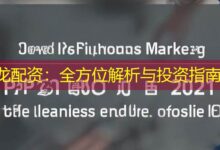 龙配资：全方位解析与投资指南-配资炒股网