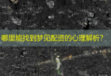 哪里能找到梦见配资的心理解析？-配资炒股网