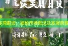 东莞配资：揭秘市场概况及发展前景-配资炒股网