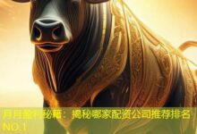 月月盈利秘籍：揭秘哪家配资公司推荐排名NO.1-配资炒股网