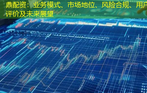 鼎配资：业务模式、市场地位、风险合规、用户评价及未来展望