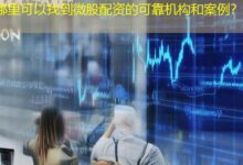 哪里可以找到微股配资的可靠机构和案例？-配资炒股网