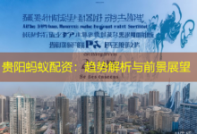 贵阳蚂蚁配资：趋势解析与前景展望-配资炒股网