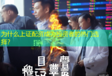 为什么上证配资成为投资者的热门选择？-配资炒股网