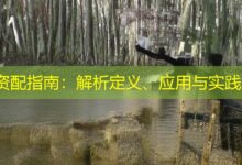 资配指南:解析定义、应用与实践-配资炒股网