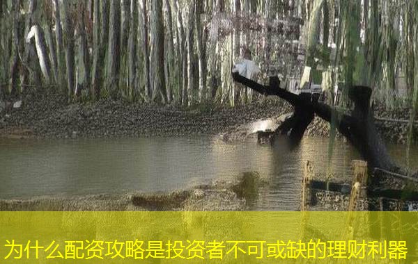 为什么配资攻略是投资者不可或缺的理财利器