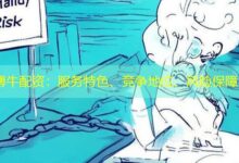 博牛配资：服务特色、竞争地位、风险保障-配资炒股网