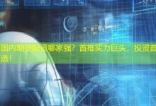 国内期货配资哪家强?首推实力巨头,投资首选!-配资炒股网