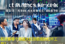 配资股哪个是放大投资额度的杠杆工具？-配资炒股网