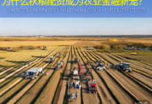 为什么秋粮配资成为农业金融新宠？-配资炒股网