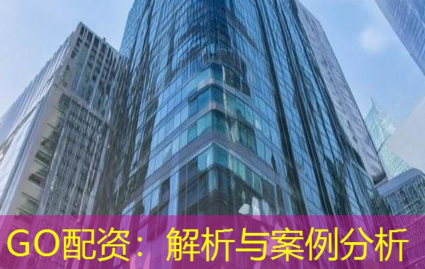 GO配资:解析与案例分析 GO配资:解析与案例分析