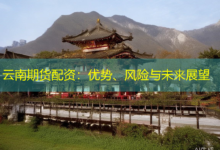 云南期货配资：优势、风险与未来展望-配资炒股网