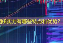 涨8实力有哪些特点和优势?-配资炒股网