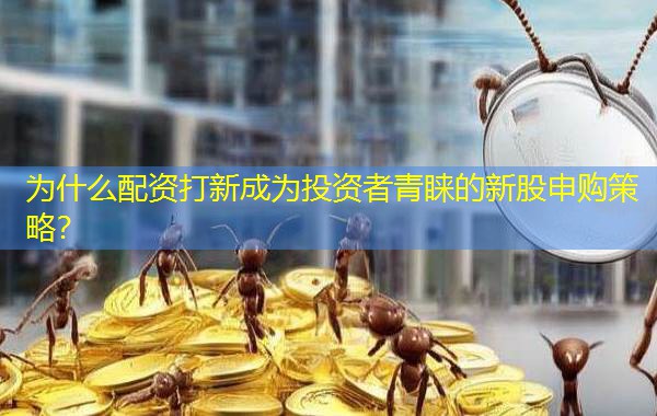 为什么配资打新成为投资者青睐的新股申购策略? 为什么配资打新成为投资者青睐的新股申购策略?