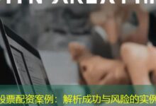 股票配资案例:解析成功与风险的实例-配资炒股网